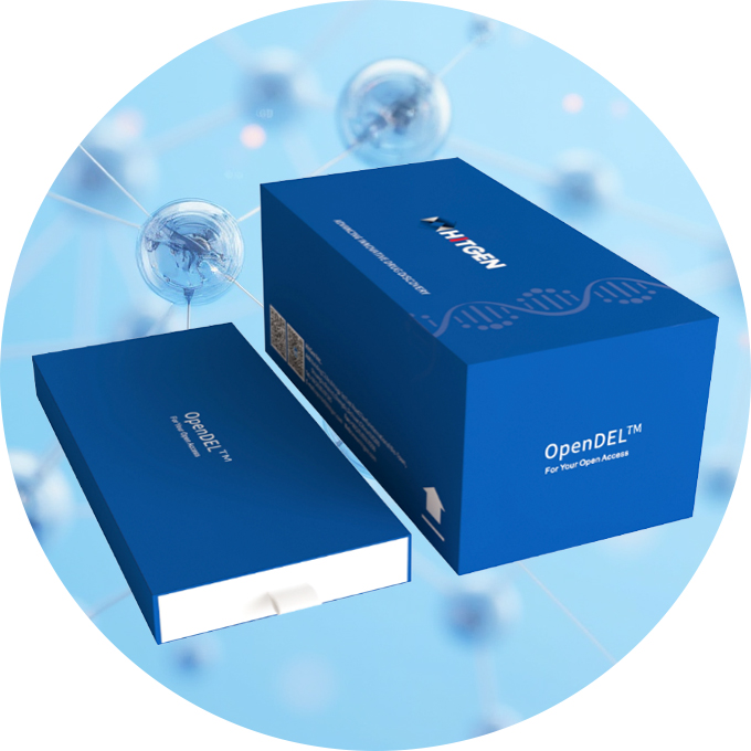 case_01